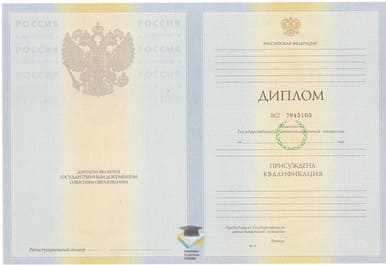 Диплом АИГО 2010-2011 годов